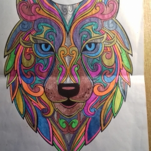 Na zdjęciu widać pokolorowaną mandalę przedstawiającą głowę wilka